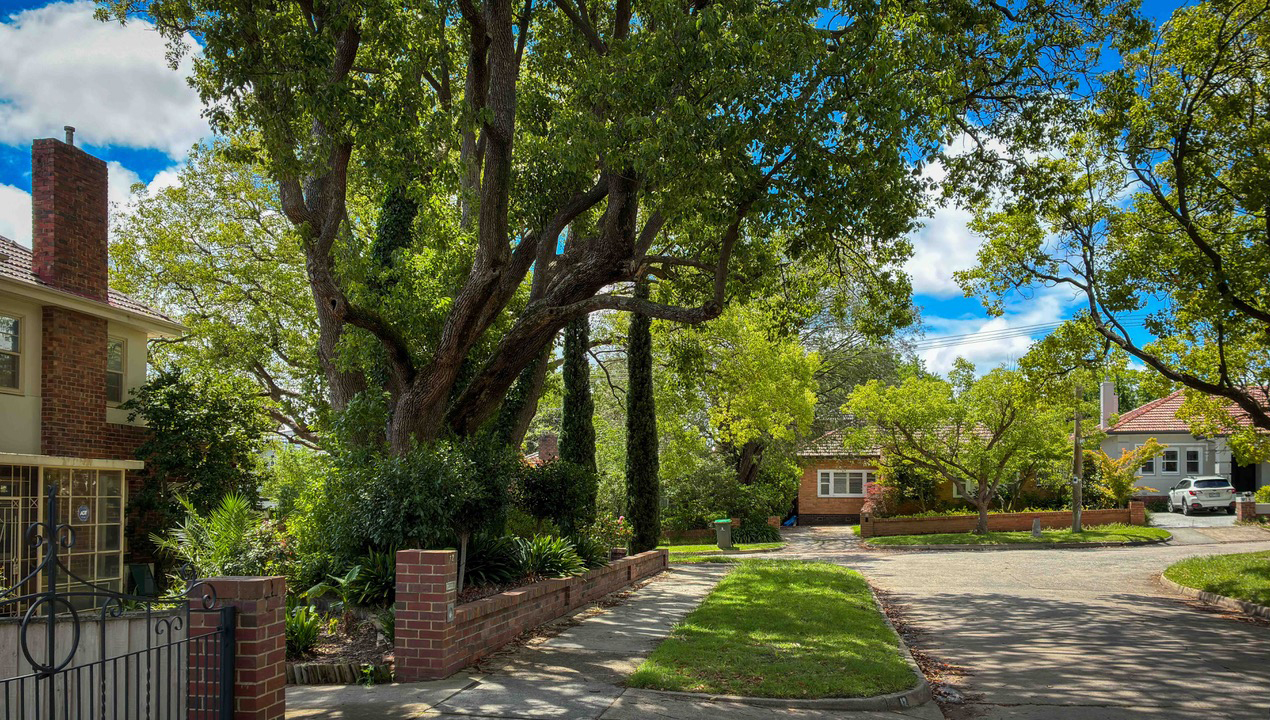 Tree canopy controls